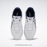 أبيض / بحري جماعي / ملكي جامعي حذاء المشي الترا 7 دي ام اكس ماكس للرجال Reebok 0NZ0F1079 - Image 6