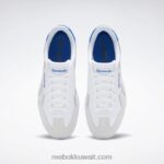 أبيض ftwr / رمادي نقي 1 / أزرق متجه ناقلات سحق الأحذية Reebok 0NZ0F127 - Image 6