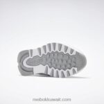 أبيض ftwr / نقي رمادي 4 / رودونيت جلد كلاسيكي يجعله حذاءك النسائي Reebok 0NZ0F192 - Image 6