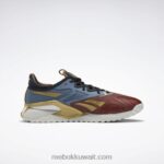 أحمر تيرا / أزرق شجاع / ذهبي غير لامع حذاء رياضي DC Nano X2 للرجال Reebok 0NZ0F98 - Image 4