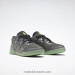 أساسي رمادي / فحم / أخضر مجاني DC تجريب بالإضافة إلى أحذية رجالية Reebok 0NZ0F182 - Image 5
