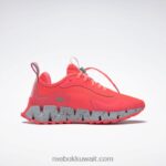 التوهج البرتقالي / البط البري الكلاسيكي / الرمادي النقي 3 حذاء نسائي من zig dynamica Adventure Reebok 0NZ0F118