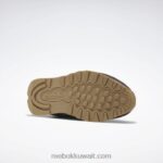 الجص f23 / الأرض الخصبة / النيلي المدخن أحذية جلدية كلاسيكية Reebok 0NZ0F643 - Image 5