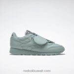 الرمادي الساحلي / أسود النواة حذاء ايمز جلدي كلاسيكي Reebok 0NZ0F548
