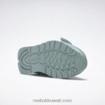 الرمادي الساحلي / أسود النواة حذاء ايمز جلدي كلاسيكي Reebok 0NZ0F548 - Image 5