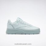الهمس الأزرق / الرمادي الساحلي أحذية نسائية مزدوجة جيو كلوب ج Reebok 0NZ0F460