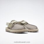 بولدر رمادي / رق / دقيق الشوفان شرائح بيتنيك العالم الجوراسي Reebok 0NZ0F245 - Image 5