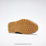 بيور جراي 5 / فتور أبيض / ريبوك صمغ المطاط 03 أحذية جلدية كلاسيكية Reebok 0NZ0F148 - Image 5
