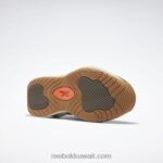 تريك جراي / هنتر جرين / وايلد براون حل أحذية كرة السلة منتصف Reebok 0NZ0F213 - Image 5