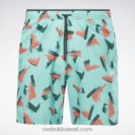رجال البط البري شبه الكلاسيكي سرعة الرسم 2.0 شورت Reebok 0NZ0F1274 - Image 8