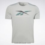 رجال رمادي نقي 3 أكتيفشيل تي شيرت رياضي برسومات Reebok 0NZ0F1286 - Image 8