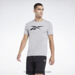 رجال رمادي نقي 3 سلسلة الرسم ناقلات تي شيرت Reebok 0NZ0F1244