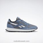 رمادي بارد 6 / أزرق أردواز / أسود أساسي أحذية جلدية كلاسيكية Reebok 0NZ0F39