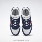 رمادي بارد / متجه بحري / أكوا مشع حذاء GL 1000 Reebok 0NZ0F336 - Image 6