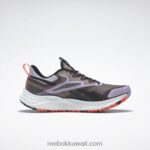 رمادي داكن / واحة أرجوانية / كور أسود حذاء الجري النسائي floatride Energy 4 Adventure Reebok 0NZ0F496 - Image 2