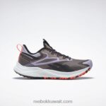 رمادي داكن / واحة أرجوانية / كور أسود حذاء الجري النسائي floatride Energy 4 Adventure Reebok 0NZ0F496