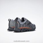 رمادي نقي 3 / رمادي نقي 7 / برتقالي سحق s23-r حذاء زيجويلد تريل 6 للرجال Reebok 0NZ0F1059 - Image 4
