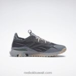 رمادي نقي 6 / رمادي نقي 3 / رمادي نقي 7 حذاء nano x2 tr Adventure للنساء Reebok 0NZ0F203 - Image 2