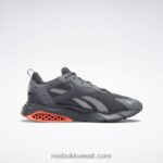 رمادي نقي 7 / رمادي نقي 6 / رمادي نقي 4 أحذية تراث هيكساليت Reebok 0NZ0F283 - Image 4