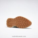 طباشير / رمادي نقي 2 / فضي غير لامع الأحذية الجلدية الكلاسيكية sp للنساء Reebok 0NZ0F179 - Image 5