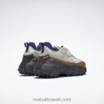 طباشير / مرمر / بني بري حذاء zig kinetica 2.5 حافة Reebok 0NZ0F109 - Image 6