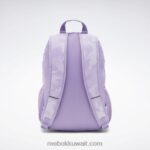متعدد حقيبة الظهر الأساسية Reebok 0NZ0F725 - Image 2