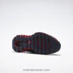 ناقلات البحرية / فلاش أحمر / رمادي نقي 1 حذاء زيجويلد تريل 6 للرجال Reebok 0NZ0F1075 - Image 5