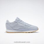 نحيف بارد رمادي 2 / ftwr أبيض أحذية جلدية كلاسيكية Reebok 0NZ0F208 - Image 2