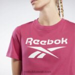 نحيف شبه فخور وردي / أبيض هوية تي شيرت Reebok 0NZ0F520 - Image 4