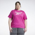 نحيف شبه وردي فخور تي شيرت الهوية (حجم كبير) Reebok 0NZ0F624