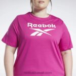نحيف شبه وردي فخور تي شيرت الهوية (حجم كبير) Reebok 0NZ0F624 - Image 4