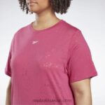 نحيف شبه وردي فخور تي شيرت نضوب (حجم كبير) Reebok 0NZ0F680 - Image 4