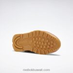نحيف كانيون كورال ميل / فتور أبيض أحذية جلدية كلاسيكية Reebok 0NZ0F420 - Image 5