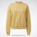 نحيف مغرة مشرقة كلاسيك صباغة طبيعية Reebok 0NZ0F856 - Image 8