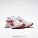 نقي رمادي 1 / متجه أحمر / رمادي نقي 2 حذاء زيج ديناميكا 2 للرجال Reebok 0NZ0F1076 - Image 5