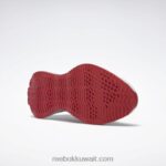 نقي رمادي 1 / متجه أحمر / رمادي نقي 2 حذاء زيج ديناميكا 2 للرجال Reebok 0NZ0F1076 - Image 7
