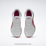 نقي رمادي 1 / متجه أحمر / رمادي نقي 2 حذاء زيج ديناميكا 2 للرجال Reebok 0NZ0F1076 - Image 8