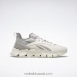 نقي رمادي 2 / طباشير / رمادي نقي 4 حذاء zig kinetica 3 Reebok 0NZ0F504
