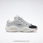 نقي رمادي 2 / طباشير / كور أسود السؤال أحذية كرة السلة المنخفضة Reebok 0NZ0F36 - Image 2