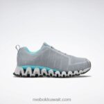 نقي رمادي 3 / البط البري الكلاسيكي حذاء زيجويلد تريل 6 نسائي Reebok 0NZ0F167