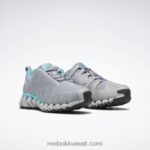 نقي رمادي 3 / البط البري الكلاسيكي حذاء زيجويلد تريل 6 نسائي Reebok 0NZ0F167 - Image 5