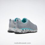نقي رمادي 3 / البط البري الكلاسيكي حذاء زيجويلد تريل 6 نسائي Reebok 0NZ0F167 - Image 6