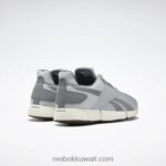 نقي رمادي 3 / رمادي نقي 5 / طباشير حذاء ديلي فيت دي ام اكس للرجال Reebok 0NZ0F1154 - Image 4