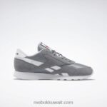 نقي رمادي 5 / ftwr أبيض أحذية الرجال النايلون الكلاسيكية Reebok 0NZ0F1047 - Image 2
