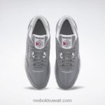 نقي رمادي 5 / ftwr أبيض أحذية الرجال النايلون الكلاسيكية Reebok 0NZ0F1047 - Image 6