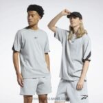 هيذر رمادي متوسط كلاسيك فخور تي شيرت العلامة التجارية Reebok 0NZ0F346